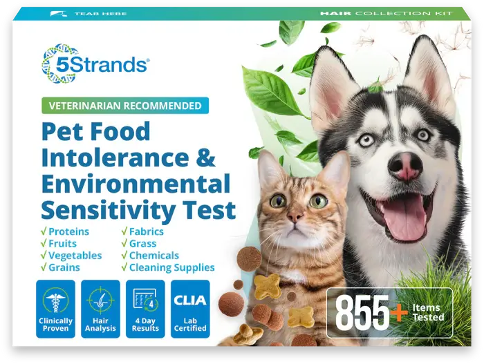 5-Strands Testing