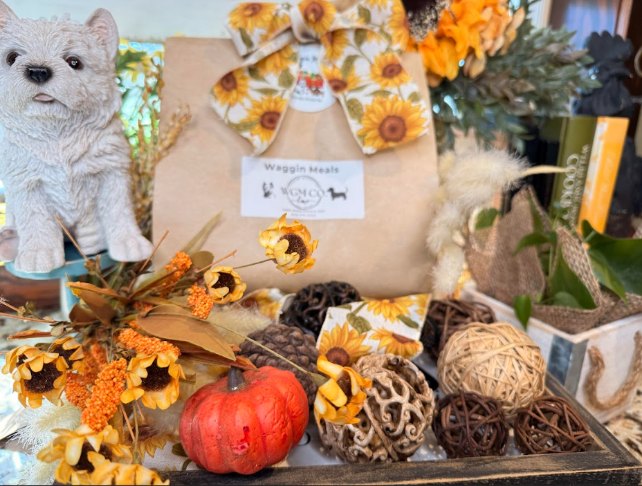 Waggin Meals Care Collection